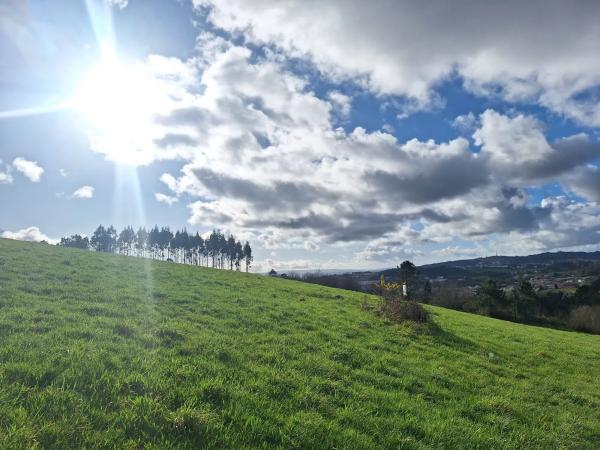Terreno en calle do Peregrino, 42