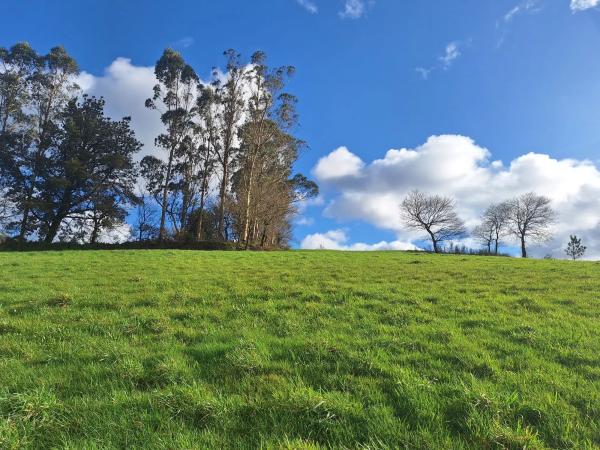 Terreno en calle do Peregrino, 42