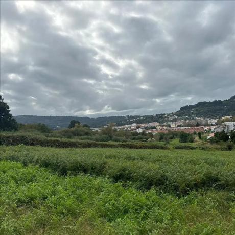 Terreno en N-651, 69