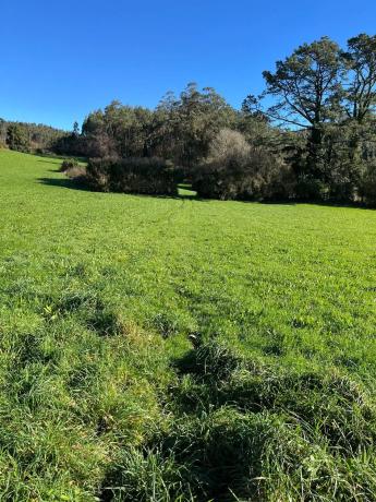 Terreno en Lugar Vilar