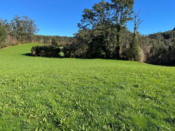 Terreno en Lugar Vilar