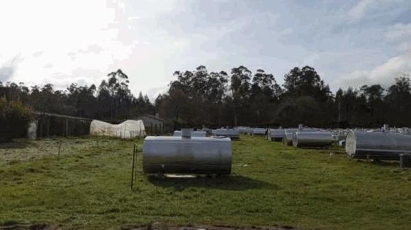 Terreno en Aldea a Pomar, 29