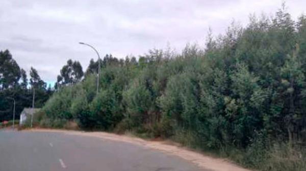 Terreno en calle do Xeixo s/n None