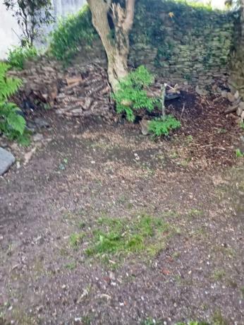 Terreno en calle Paraíso, 13