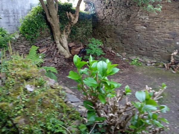 Terreno en calle Paraíso, 13