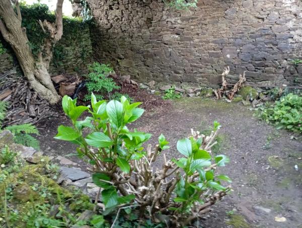 Terreno en calle Paraíso, 13