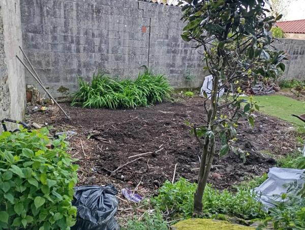 Terreno en calle Paraíso, 13