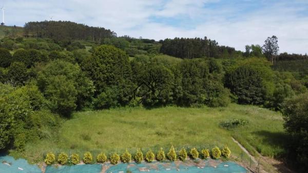 Terreno en Sedes-Pedroso-Doso