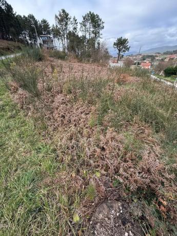 Terreno en calle Reboredo, 2