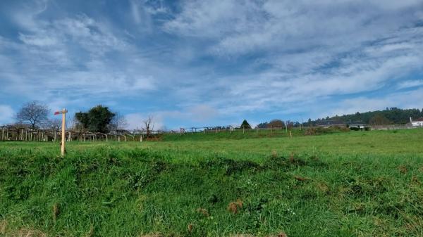 Terreno en Lugar Albela Arriba, km 5