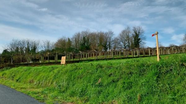 Terreno en Lugar Albela Arriba, km 5