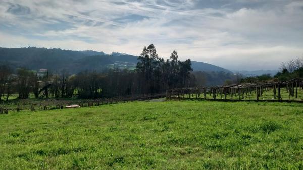 Terreno en Lugar Albela Arriba, km 5