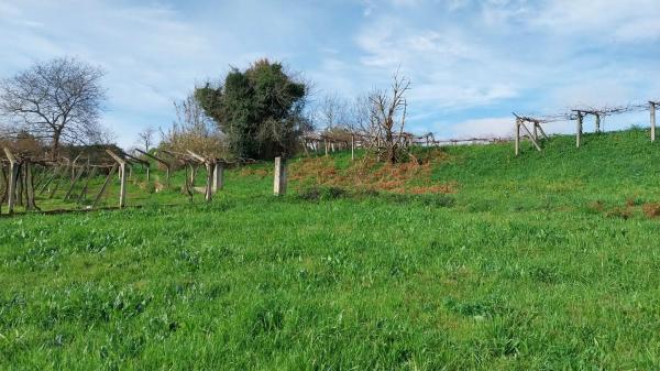 Terreno en Lugar Albela Arriba, km 5