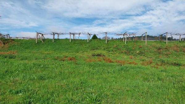 Terreno en Lugar Albela Arriba, km 5
