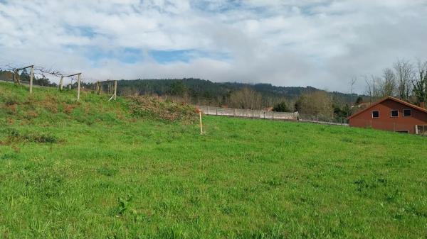 Terreno en Lugar Albela Arriba, km 5