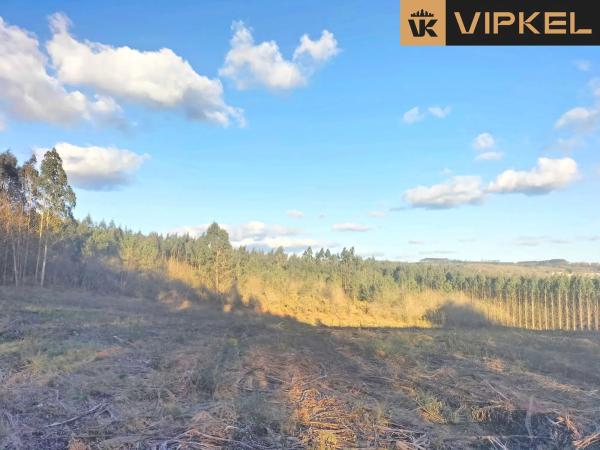 Terreno en Quintáns Verdía