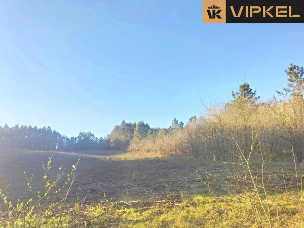 Terreno en Quintáns Verdía