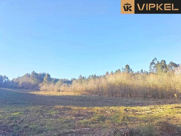 Terreno en Quintáns Verdía