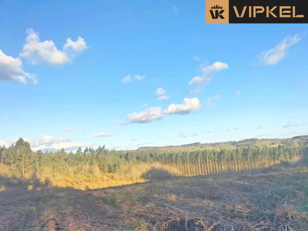 Terreno en Quintáns Verdía