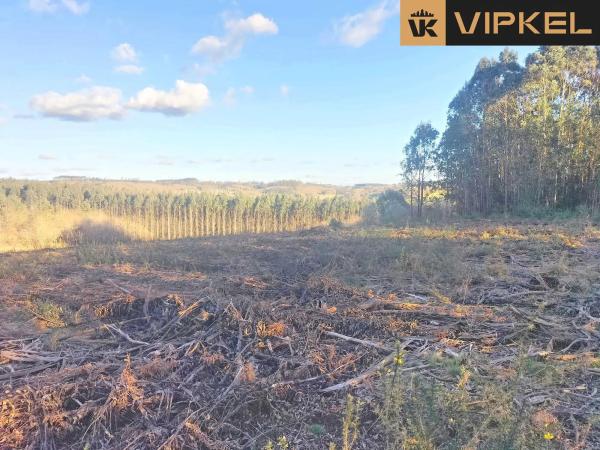 Terreno en Quintáns Verdía