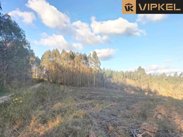 Terreno en Quintáns Verdía