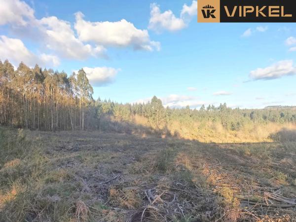 Terreno en Quintáns Verdía