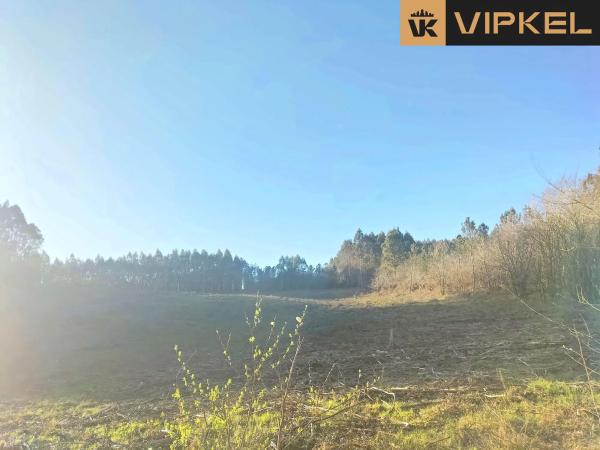 Terreno en Quintáns Verdía