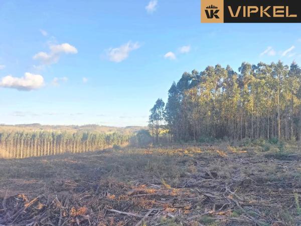 Terreno en Quintáns Verdía