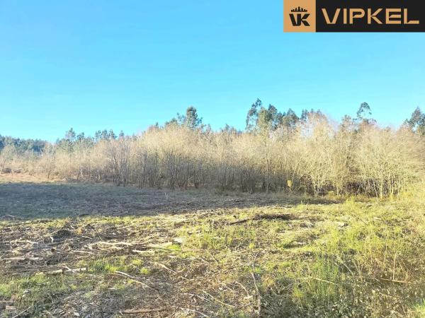 Terreno en Quintáns Verdía