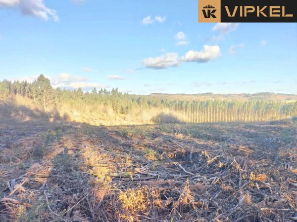 Terreno en Quintáns Verdía