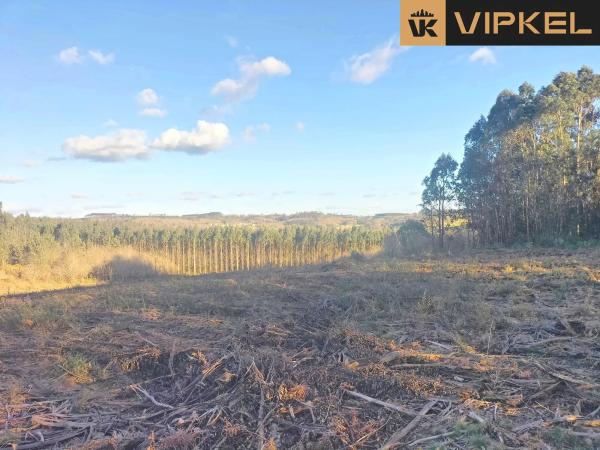 Terreno en Quintáns Verdía