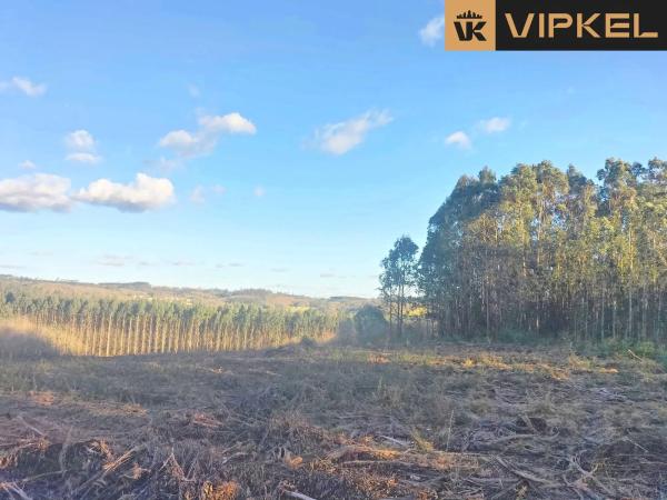 Terreno en Quintáns Verdía