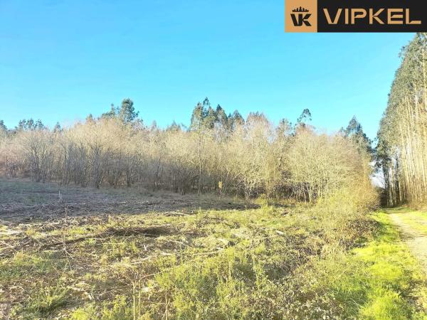 Terreno en Quintáns Verdía