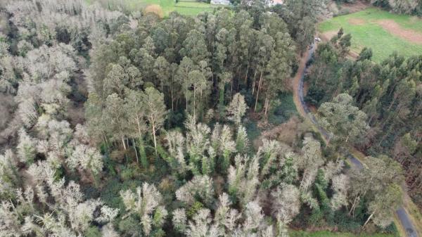 Terreno en Lugar Seixeda, 26