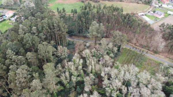 Terreno en Lugar Seixeda, 26
