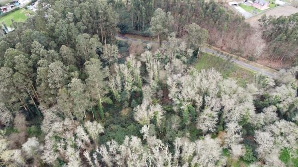 Terreno en Lugar Seixeda, 26