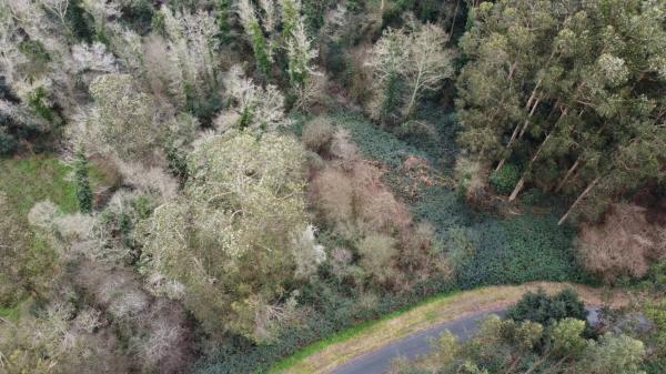 Terreno en Lugar Seixeda, 26