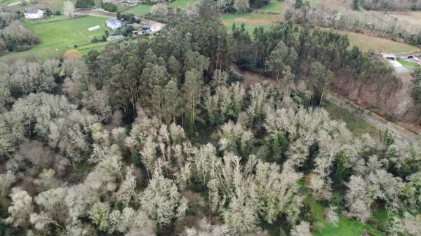 Terreno en Lugar Seixeda, 26