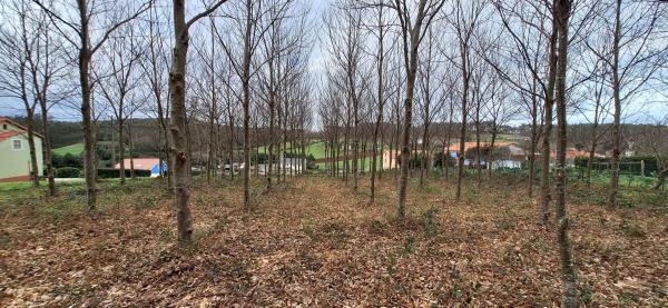 Terreno en Lugar Calvario, 2