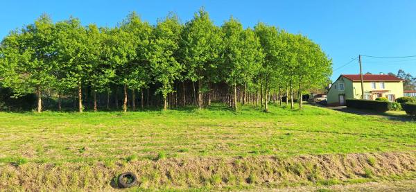 Terreno en Lugar Calvario, 2