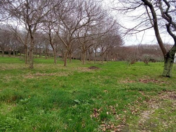 Terreno en Mouromorto