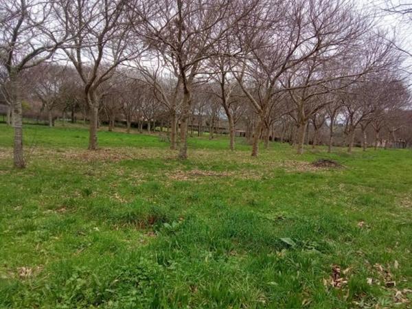 Terreno en Mouromorto