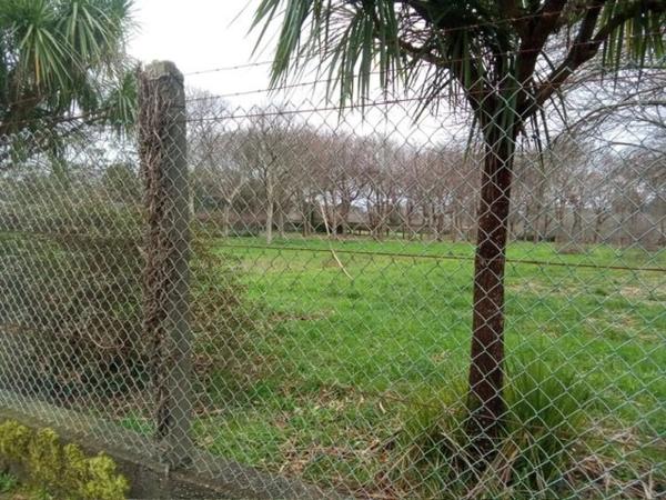 Terreno en Mouromorto