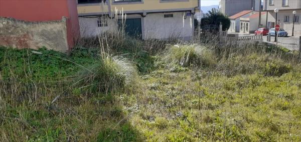 Terreno en avenida Pastoriza, 38