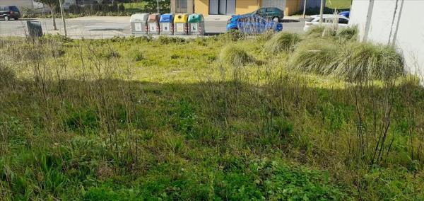 Terreno en avenida Pastoriza, 38