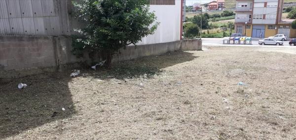 Terreno en avenida Pastoriza, 38