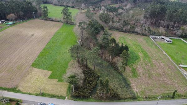 Terreno en a ferrulleira