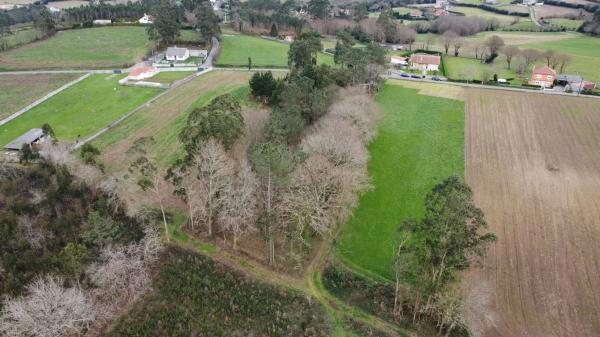 Terreno en a ferrulleira