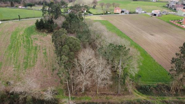 Terreno en a ferrulleira