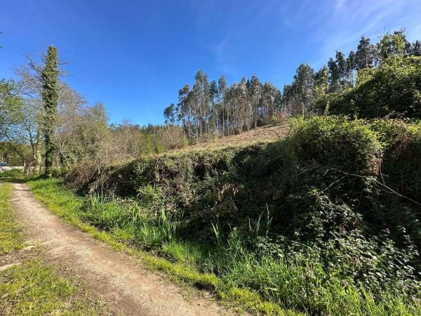 Terreno en camino do Foxo, 11